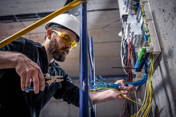Best Electrical System Inspection  in Line Acres, MO